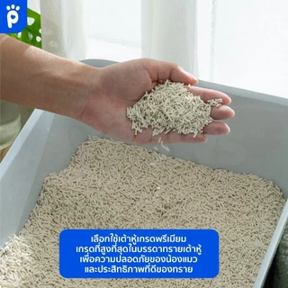 (ส่งด่าวน) My Paws ทรายแมวเต้าหู้ 24 ลิตร Natural Tofu Cat litter เกรดพรีเมียม ฝุ่นน้อย จับตัวไว ละลายน้ำดี
