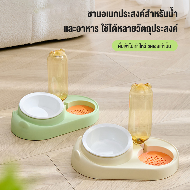ชามใส่อาหารสัตว์เลี้ยง ความเอียง 10° ที่ให้อาหารที่ให้น้ำสัตว์เลี้ยงกันมด ถ้วยอาหารสุนัขกันมด ชามอาหารสัตว์เลี้ยง 2 หลุม