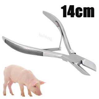 กรรไกรตัดฟันหมู 14ซม. กรรไกรตัดฟัน สแตนเลส ตัดฟันสำหรับลูกหม…