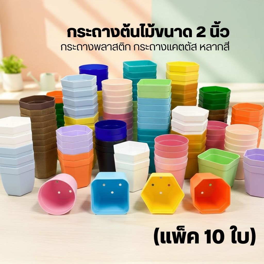 (กรุณาสั่ง 10 ใบขึ้นไป) กระถางต้นไม้ 2 นิ้ว กระถางกระบองเพชร กระถางจิ๋ว