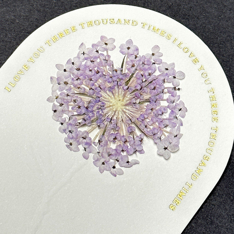 Pressed Scabiosa Flowers Handmade Pressed Flower Painting Gift