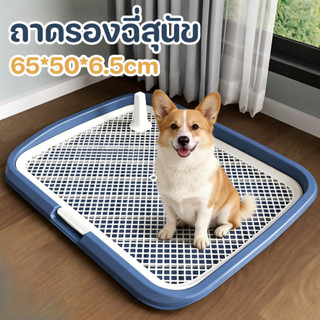 ถาดรองฉี่สุนัข ถาดรองฉี่สัตว์เลี้ยง 2 ชั้น ห้องน้ำสุนัข  มีเ…