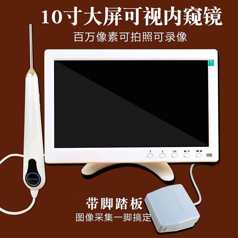 เทคโนโลยี Dosni (จังหวัด Hubei) Co., Ltd. หูฟังภาพความละเอียดสูง 33 ซม. 10 ล้านพิกเซลหูฟัง Endoscope