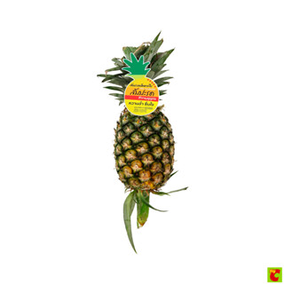 สับปะรด ปัตตาเวีย คัดสรรคุณภาพดี