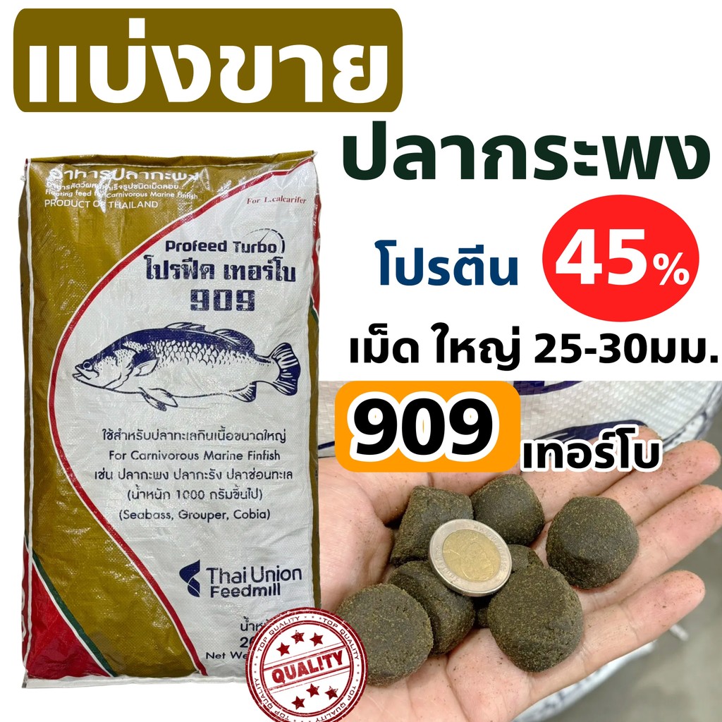 ของใหม่ พร้อมส่ง ProFeed อาหารปลากระพง ปลากินเนื้อ โปรฟีด โปรตีน 40% อาหารปลาทะเล 909เทอร์โบ ตักแบ่ง