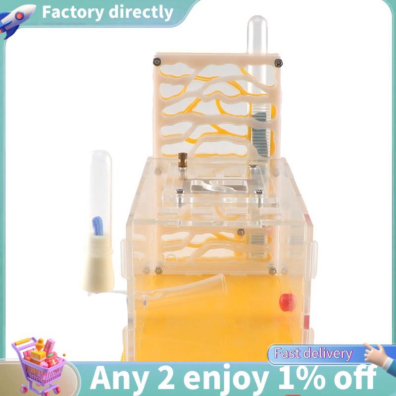 E7-อะคริลิคแมลง Ant Nest T-Design Feeding Area Ant Nest T-Design ฟาร์มแมลง Villa House Ant Nest ของข