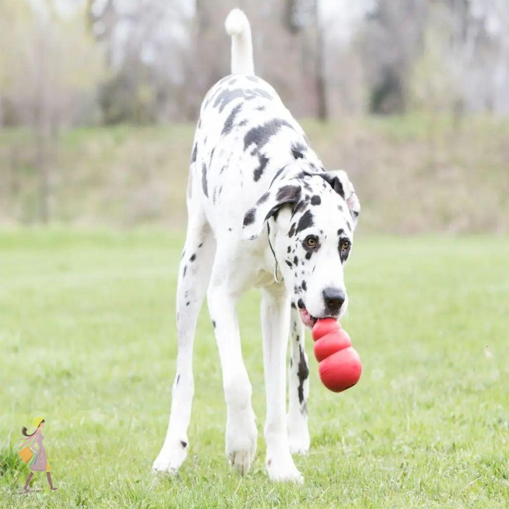 YGBG Kong Puppy Toys, Treat-Filled Capbilities Erratic Bounce Kong ของเล่นสุนัข, 2024 ทนทานหลายขนาด 