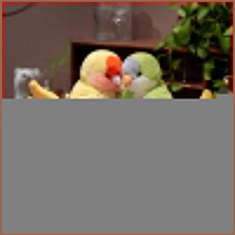 SY2 น่ารักจําลองนกแก้วตุ๊กตาหุ่นมือเด็กผ่อนคลายของเล่นของขวัญสําหรับแฟนตุ๊กตาของเล่น YS2