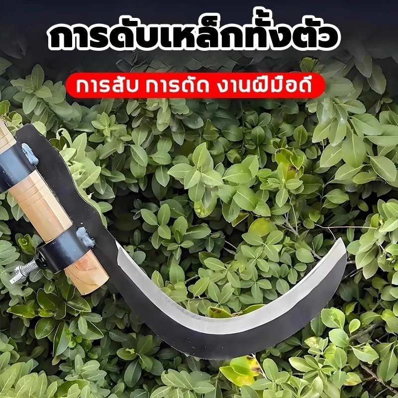 เคียวเกี่ยวผลไม้สูงแมงกานีส 85 ซม thumbnail 6
