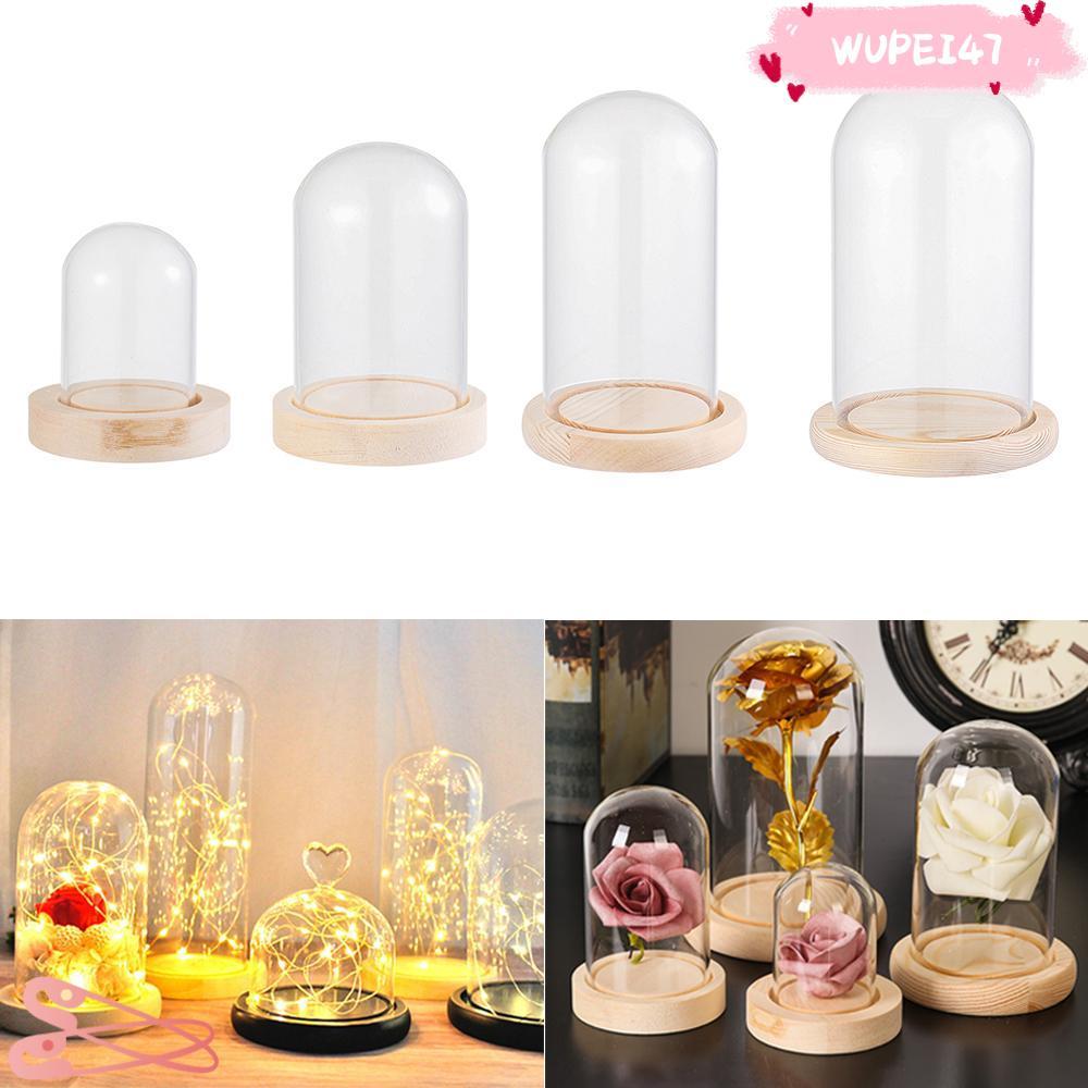 WUPEI47AD ฝาครอบกันฝุ่นพืช Terrarium โต๊ะขวดโปร่งใสแจกันแก้ว Jar ฐานไม้