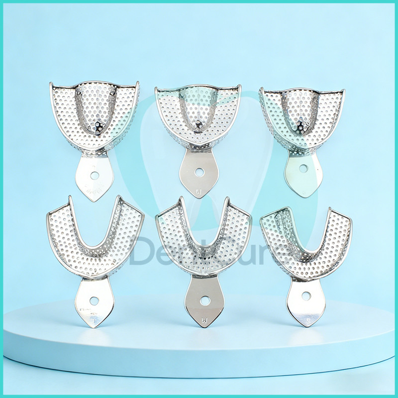 2Pcs Dental Denture Instruments Stainless steel Impression Tray L/M/S Teeth Tray Dentist Tools