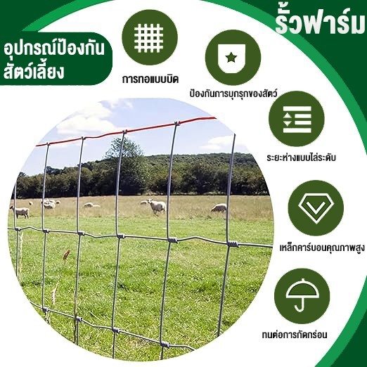 รั้วถักปม รั้วตาข่ายถักปม ล้อมคอก ยาว30-50เมตร สูง0.9/1.2/1.5เมตร เหล็กล้อมรั้ว กันสนิม ทนทาน ราคา ถูกที่สุด ดีลบีเคเค แกลเลอรีภาพที่ 6