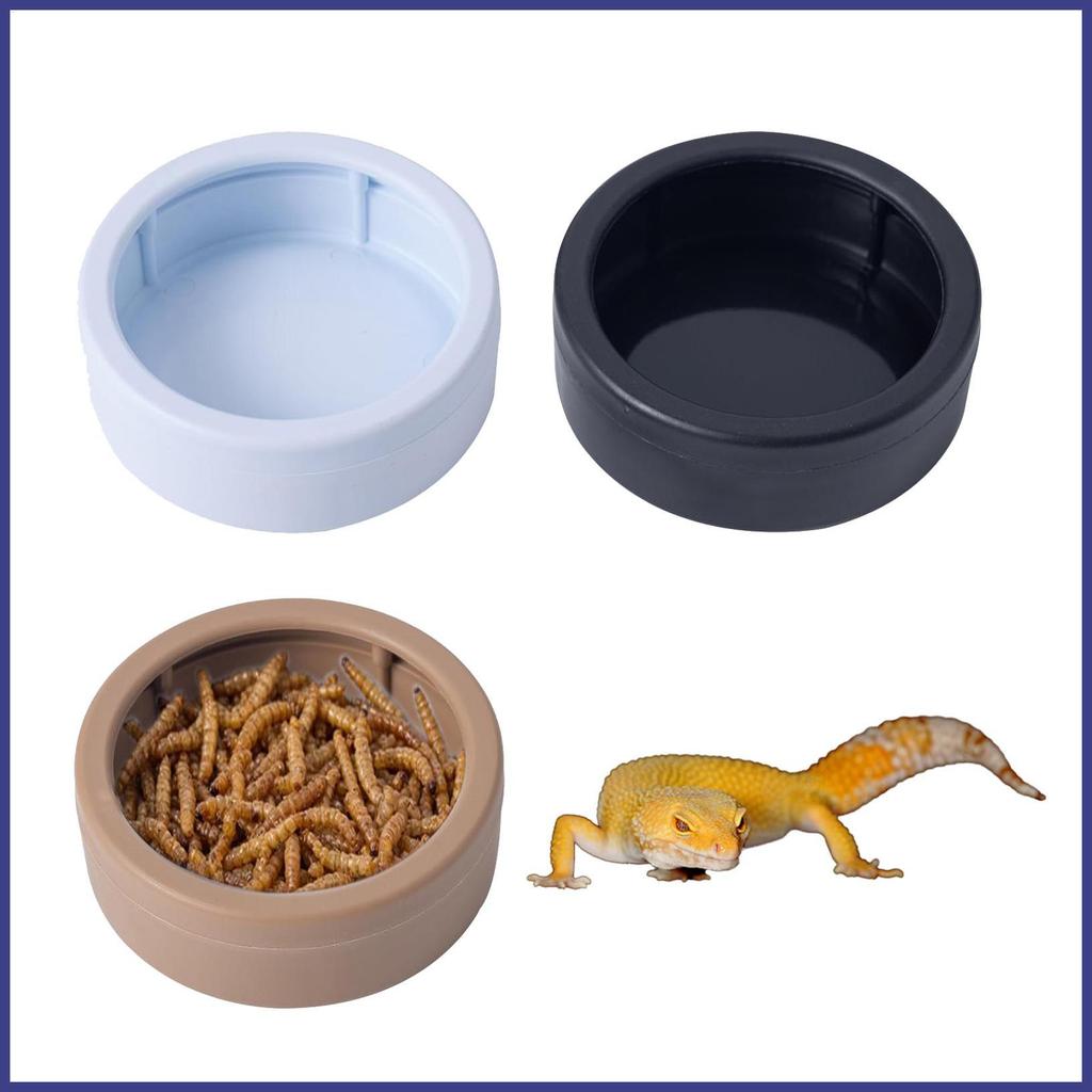 ชามสัตว์เลื้อยคลาน 3 ชิ้น Mealworm Feeder ถ้วย Hermit Crab น้ําจานสําหรับ Gecko Bearded Dragon Lizar