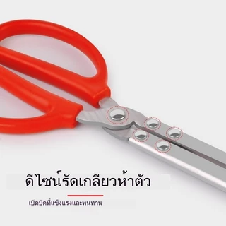 Sikawei 38ซม. คีมจับสัตว์น้ำ 68ซม.คีมหนีบปลา ปู กรรไกรสแตนเลสคีปปู ทนทาน ใช้งานง่าย ป้องกันการลื่นไ