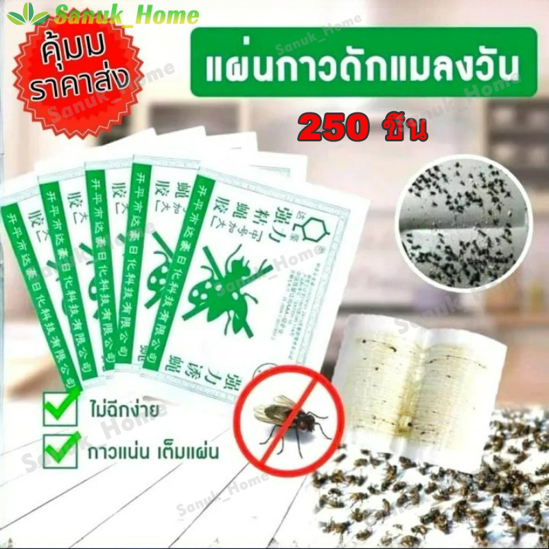 【COD 250 ชิ้น🔥】ราคาถูกสุด!! กาวดักแมลงวัน กที่ดักแมงวัน​แพ็คละ 50/100 แผ่น ของแท้ 100% มีสต็อกในไทย
