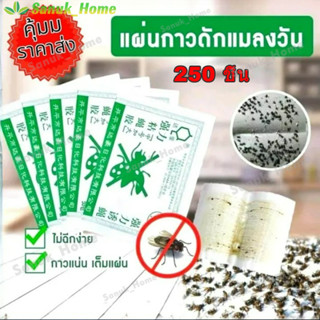 【COD 250 ชิ้น🔥】ราคาถูกสุด!! กาวดักแมลงวัน กที่ดักแมงวัน​แพ็ค…