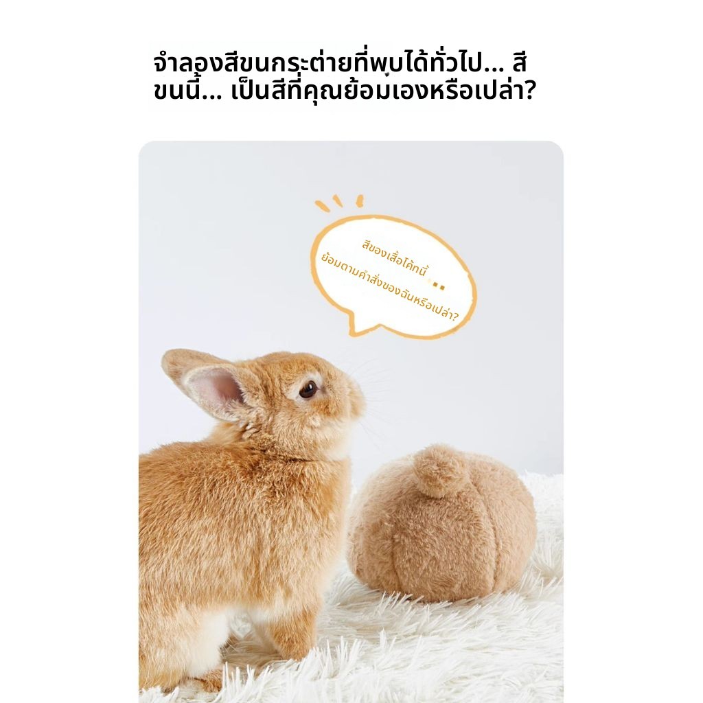 กระต่ายแคระทุ่มเทกรงเล็บบดของเล่นอุปกรณ์บรรเทาความเบื่อหน่ายหนูตะเภาอุปกรณ์ระบายผู้ใหญ่สัตว์เลี้ยงหนุ่ม - รูปที่ 3