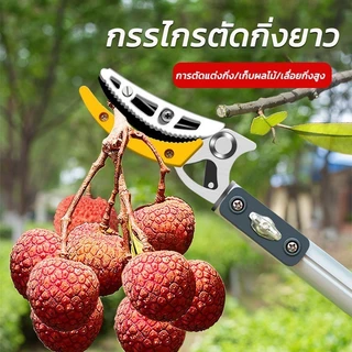 【จัดส่งภายใน 24 ชั่วโมง】กรรไกรตัดกิ่ง ยืดไสลด์ 1.8-4M ตัดกิ่งไม้เร็ว กรรไกรตัดหนีบผลไม้ด้ามยาว กรรไกรเก็บผลไม้ กรรไกรตัด
