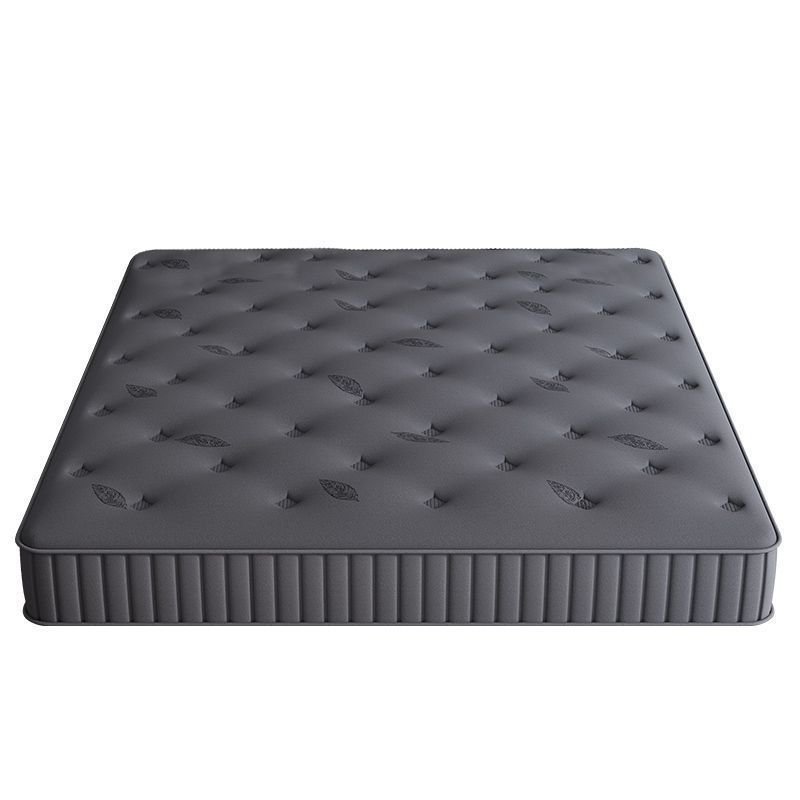 ที่นอน 20 ซม. Simmons ฤดูใบไม้ผลิมะพร้าว Hard 1.5m Latex เช่า Room Plus Dirt-Resistant ห้องนอน 1.8m 