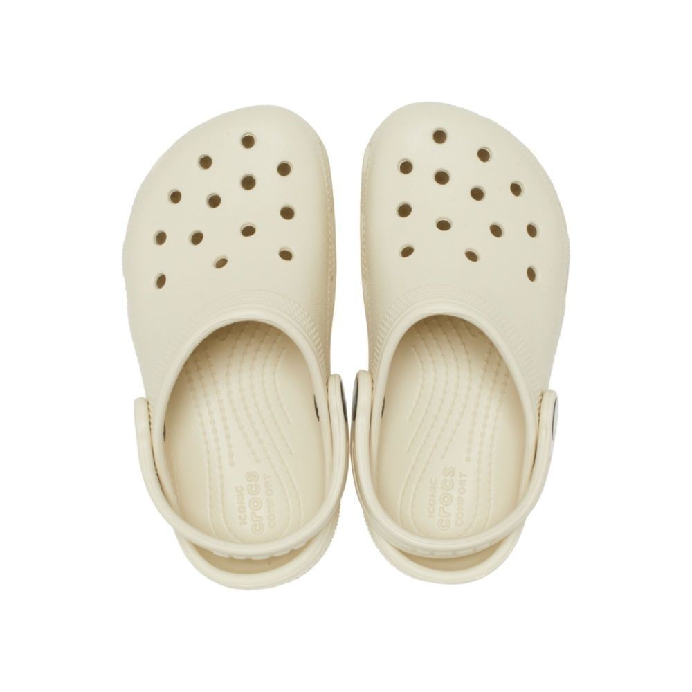 รูปภาพ 5