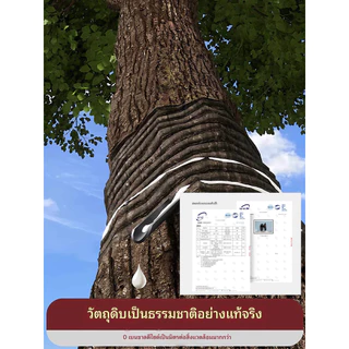รองเท้าแตะผู้หญิง สำหรับใส่ในบ้าน รุ่นใหม่ปี 2026 สำหรับห้องน้ำ กันลื่นและกันกลิ่น รองเท้าแตะคู่สำหรับผู้ชาย