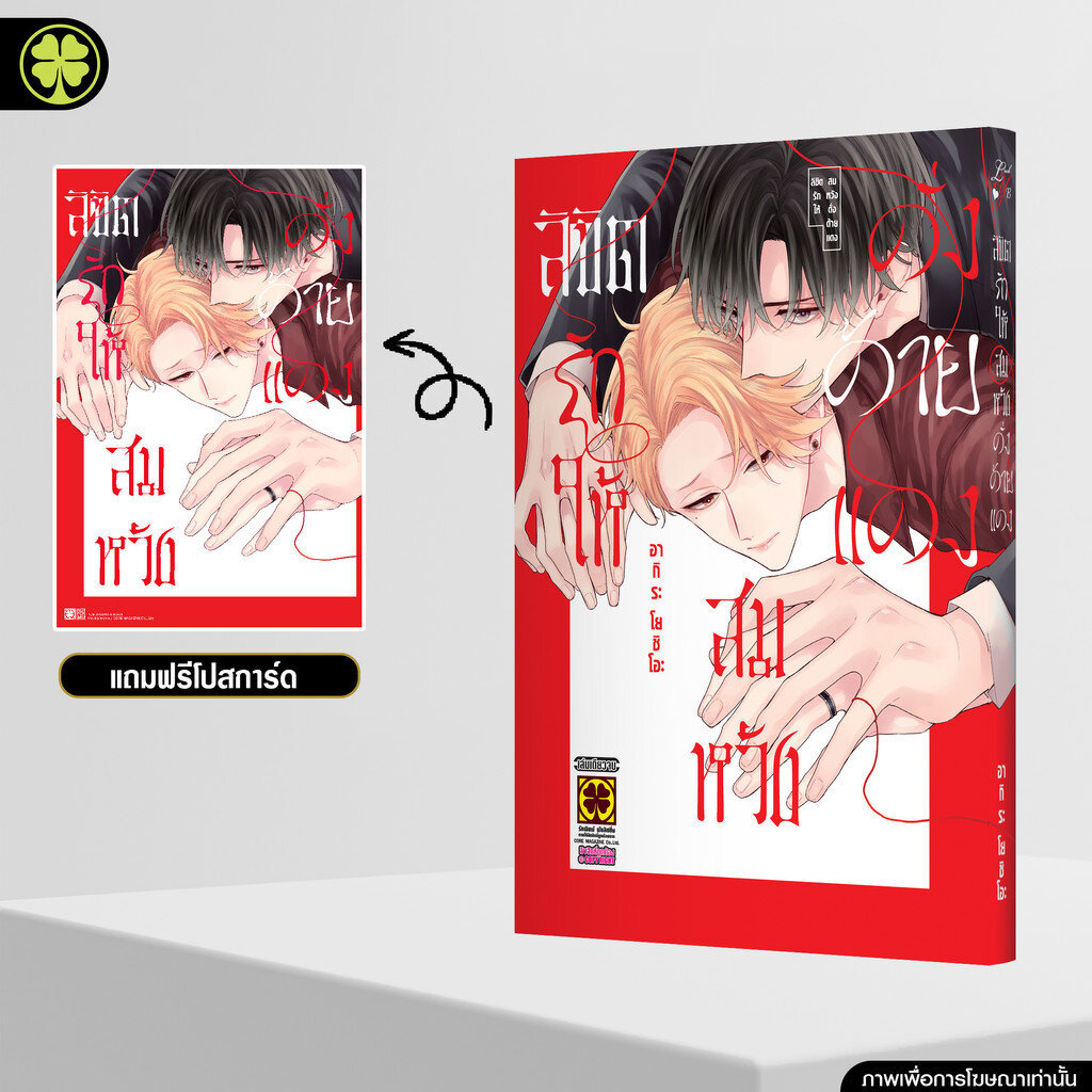 (พร้อมส่ง) ลิขิตรักให้สมหวังดั่งด้ายแดง (เล่มเดียวจบ) แถมฟรี โปสการ์ด