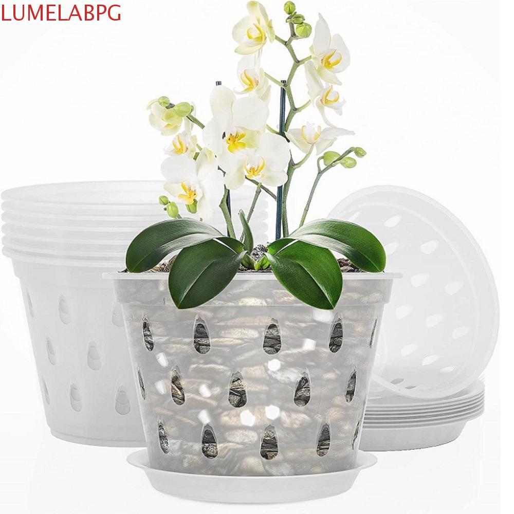 LUMELABPG Orchid Pot Breathable Excellent ระบายน้ําพลาสติกมีรูและถาด Stomata สําหรับ Phalaenopsis Or