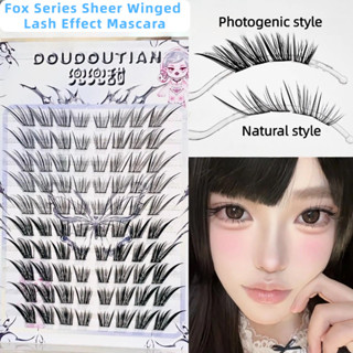 DOUDOUTIAN Fox Series ขนตาปลอมบินได้แบบเอียงใส