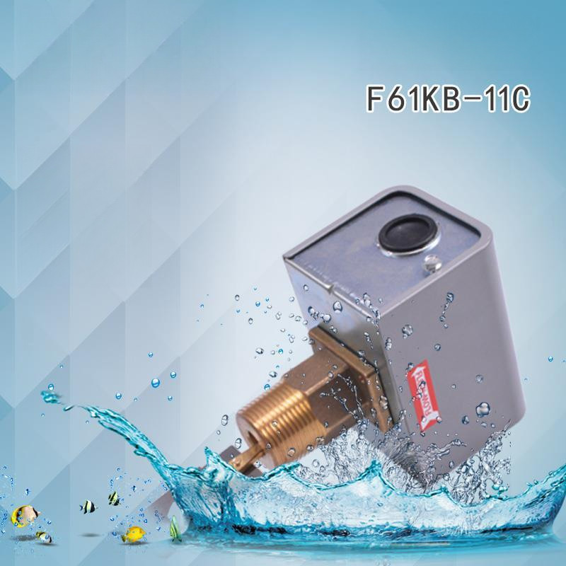 สวิตช์วัดการไหล Johnson F61KB-11C/FS80-C/FB11-11C แบบ Target SPDT 16bar 220V