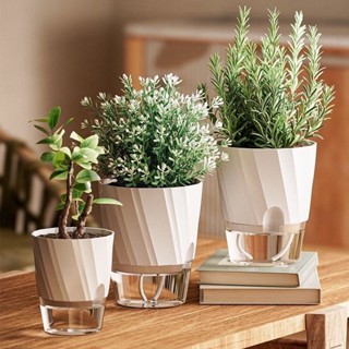 กระถาง แบบใส 2 ชั้น ไฮโดรโปนิกส์ รดน้ําอัตโนมัติ กระถางแคคตั…