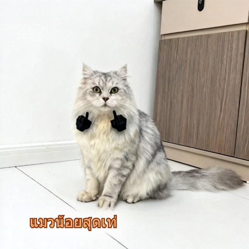 YADI🐾😺 ฮัสกี้ ปลอกคอ สำหรับ แมว หมา พันธุ์เล็ก ฮาป่วน petcho