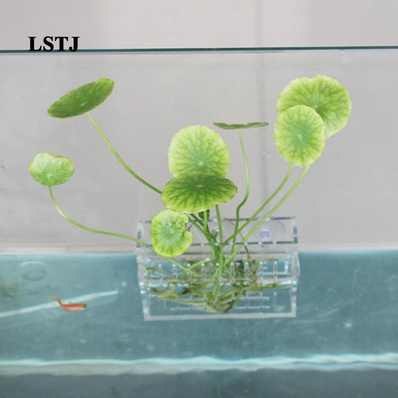 [Lstjj] Water Grass Plants Cup Aquarium Plant Holder Decorarion Foreground