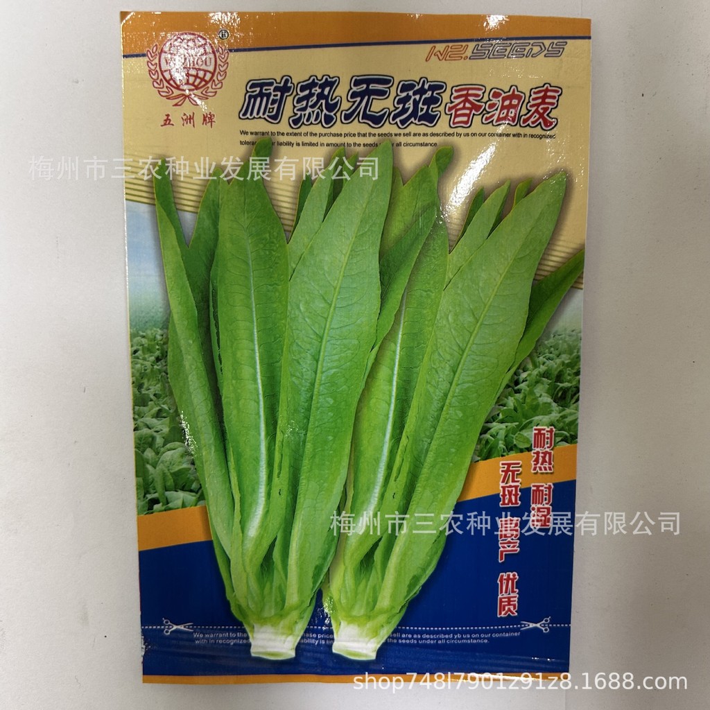 现货*五洲牌耐热无斑香油麦菜种籽油麦菜蔬菜种子电商 厂家批发Wuzhou Brand Heat-Resistant, Spot-Free Sesame Oil Mustard Greens Seed 
