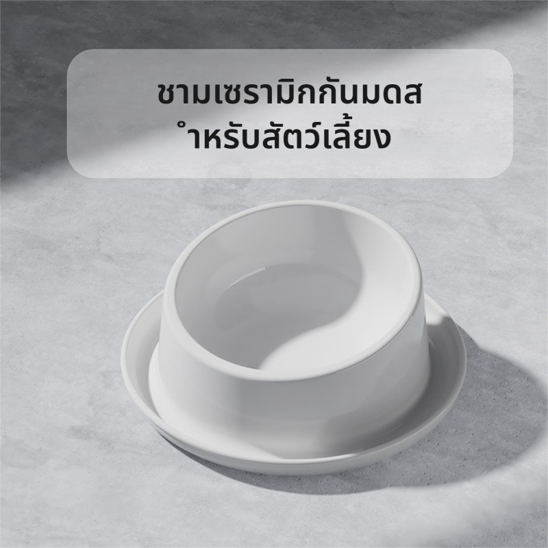 🔥ชามเซรามิกกันมด แบบเอียง 15 องศา ป้องกันคอ ป้องกันแมลง มีร่องใส่น้ำ เหมาะสำหรับแมว/สุนัข