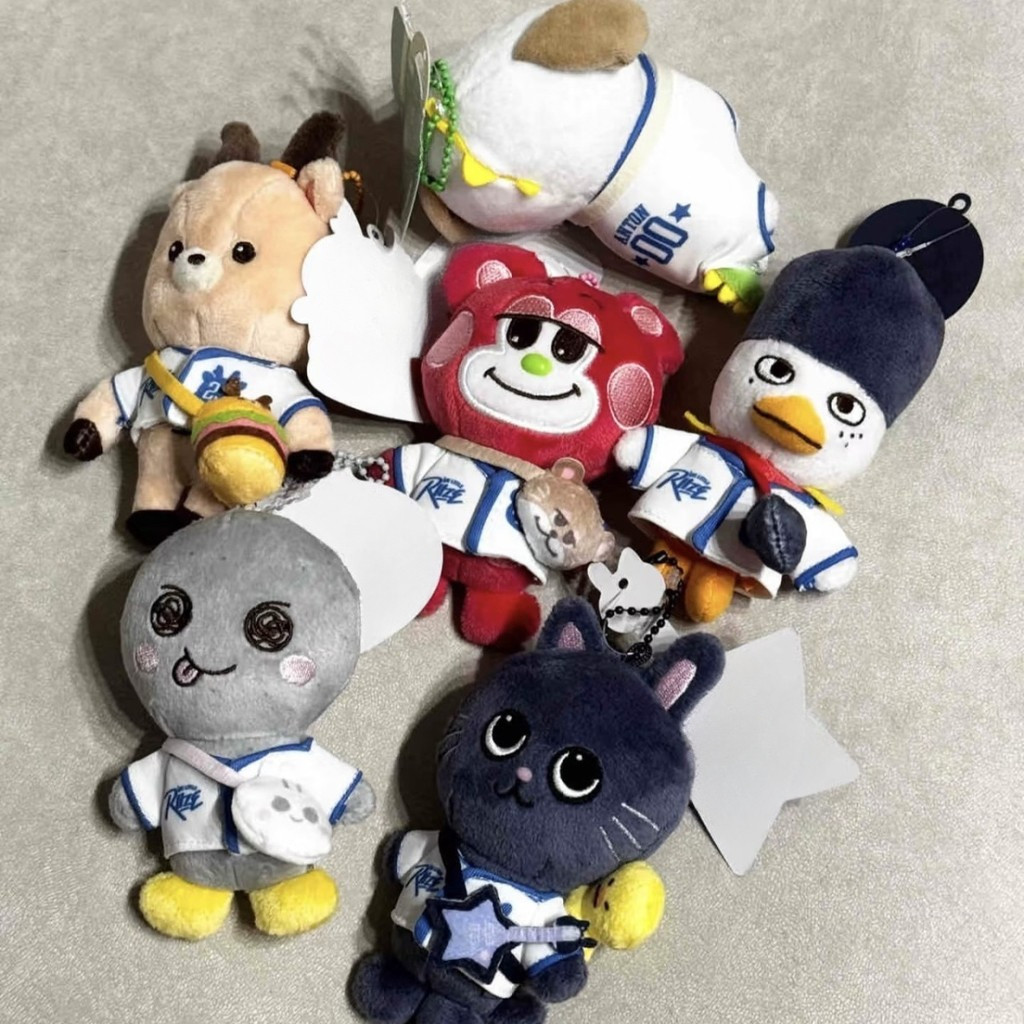 【พร้อมส่ง】ตุ๊กตา riize shotaro、eunseok、sungchan、wonbin、sohee、anton riize ตุ๊กตา/พวงกุญแจ Fan-made