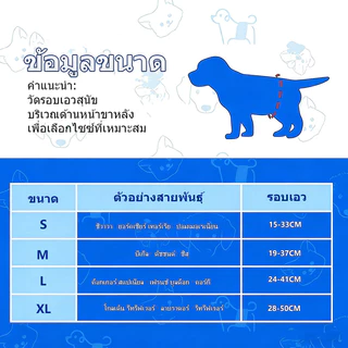 🐶Casoft ผ้าอ้อมสุนัข สำหรับตัวผู้และตัวเมีย | เยื่อซึมซับนำเข้า 5 ชั้น ดูดซับเร็ว แห้งสบาย กันรั่วสูงสุด | ขนาด S-XL (ตัวผู้) XS-XXL (ตัวเมีย) ไซส์ครบ 12 ชิ้น/แพ็ค จัดส่งเร็ว COD