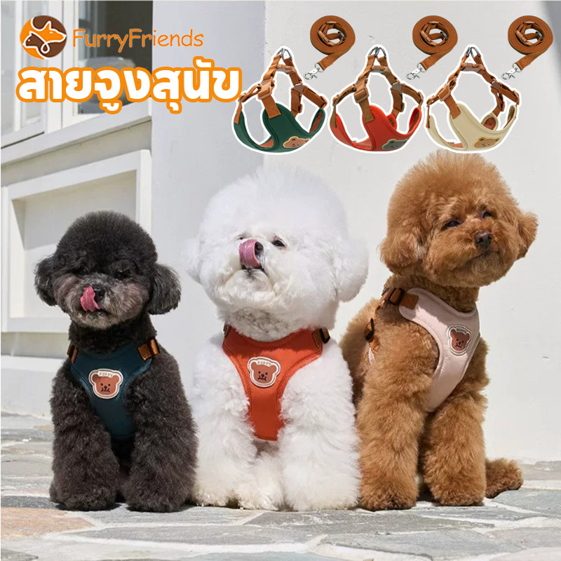 สายจูงสุนัข สไตล์เสื้อกั๊ก ระบายอากาศ ปรับได้ เหมาะสำหรับสุนัขขนาดกลางและขนาดเล็ก