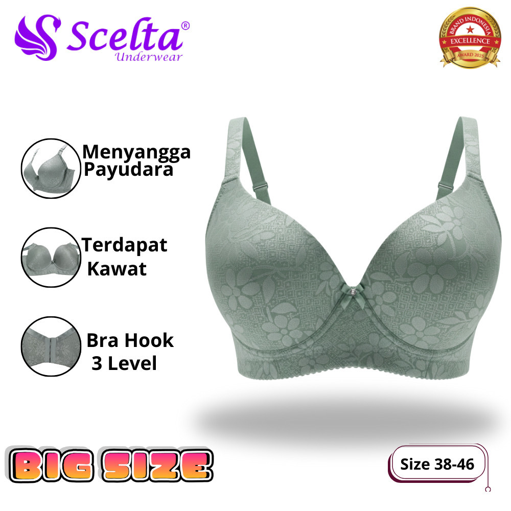 Scelta Cikarang New Womens Bra ติดตั้ง Underwire Size 38-46 Cup D Big Size | BH SC PB1922