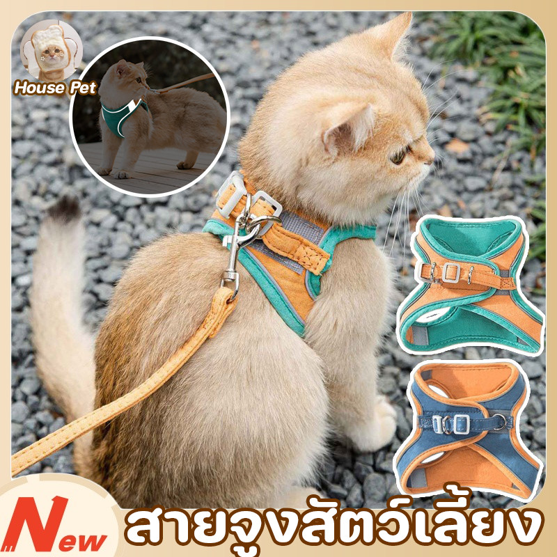 ใหม่! สายจูงแมว ปลอกคอแมว Colorful Reflective เชือกจูงแมว ดูดี ออกไปเที่ยว