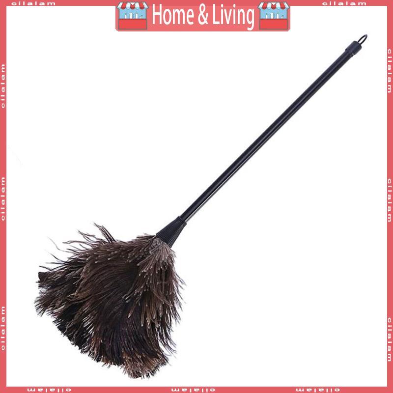 Ostrich Duster Feather Cleaning Brush with Long Handle Computer Dust Removal