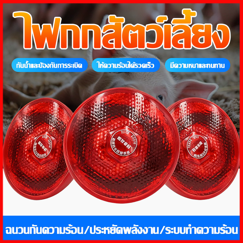 ⚡พร้อมส่งจากไทย⚡ หลอดไฟอินฟาเรด หลอดไฟกกสัตว์ ให้ความอบอุ่น ลูกไก่ เป็ด ลูกนก