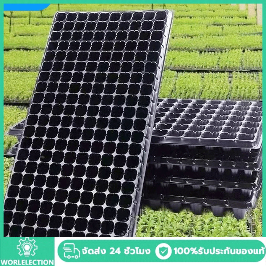 *โค้ดส่งฟรี* ถาดเพาะกล้า ถาดเพาะชำ ถาดเพาะเมล็ด ต้นอ่อน เมล็ด ไฮโดร 50,72,105,200หลุม ฟองน้ำ กรีนโอ๊ค คอส