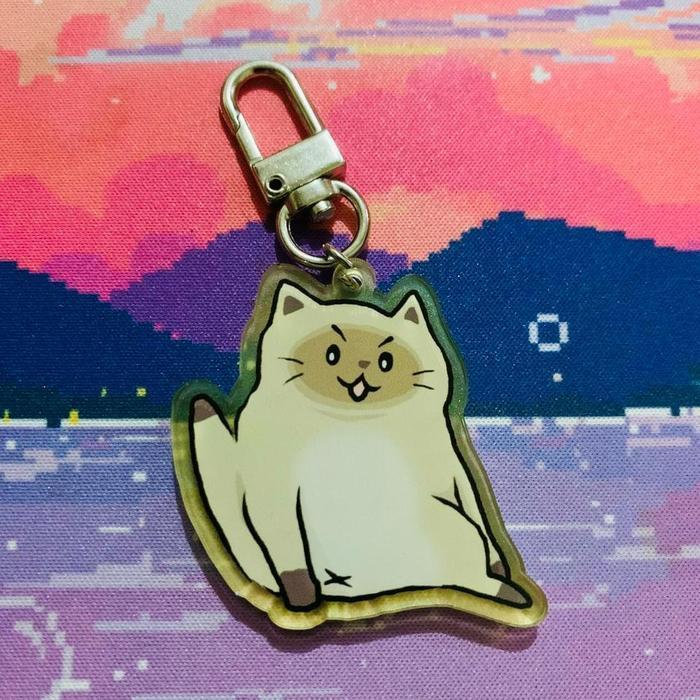 Cute cat/cat meme keychain - Siamese