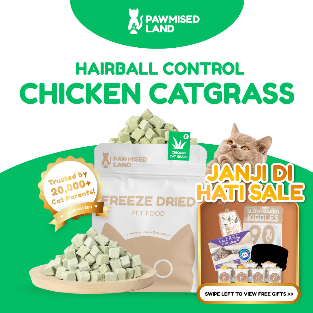 PawmisedLand Catty Munchies - Chicken Catgrass - Functional Series - Freeze Dry 125g อาหารสัตว์เลี้ย
