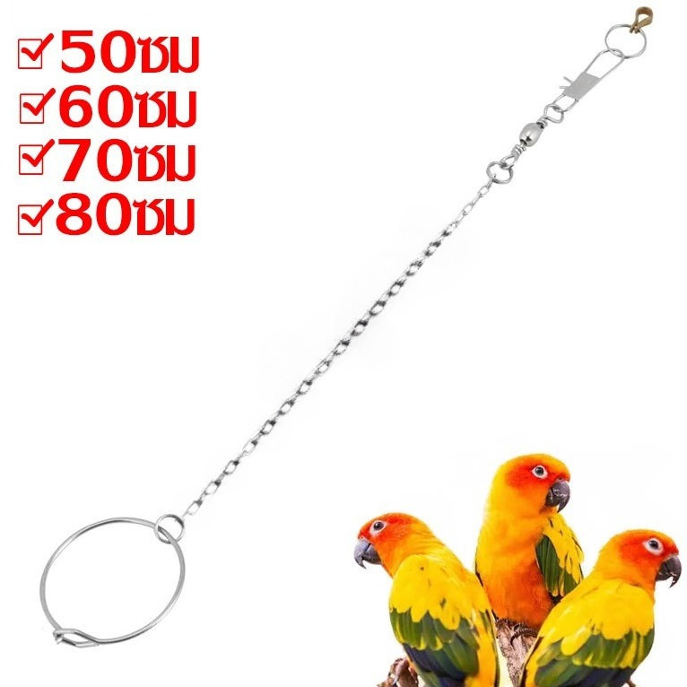 ถูดสุด  โซ่คล้องขานก สแตนเลส โซ่นก ใช้กับห่วงเปิดนก ห่วงขานก bird นก นกแก้ว ฟอพัส หงษ์หยก เลิฟเบิร์ด ค๊อกคาเทล กรีนชีค