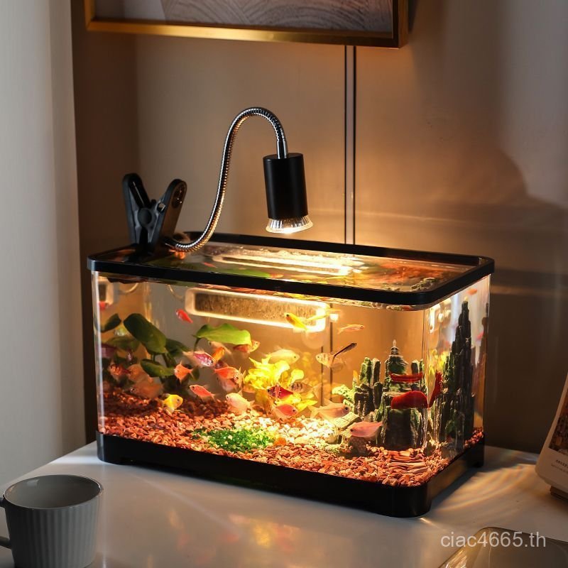 Load-Bearing ตู้ Multi-Layer 40 ตารางสําหรับตู้ด้านล่างถังปลาถังปลาชั้นวางถังปลาวงเล็บโลหะฐาน Rack W