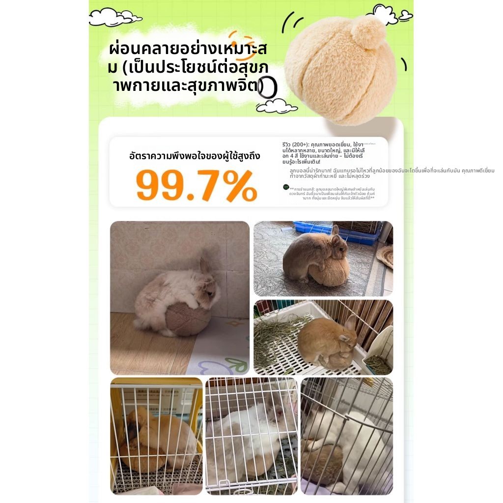 กระต่ายแคระทุ่มเทกรงเล็บบดของเล่นอุปกรณ์บรรเทาความเบื่อหน่ายหนูตะเภาอุปกรณ์ระบายผู้ใหญ่สัตว์เลี้ยงหนุ่ม - รูปที่ 6