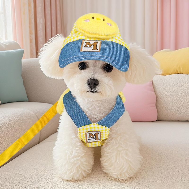 Amor Pet Out Set แมวลากหมวกกันแดด