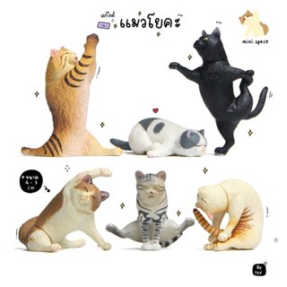 M-mini โมเดลแมวญี่ปุ่น ท่ายืดตัว แมวยืด แมวโยคะ (ชุด 6 แบบ) …