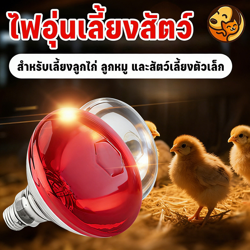 หลอดไฟอินฟราเรด ให้ความอบอุ่น สำหรับเลี้ยงสัตว์ ลูกหมู ลูกไก่ ไฟอุ่นเลี้ยงสัตว์ หลอดไฟกกสัตว์